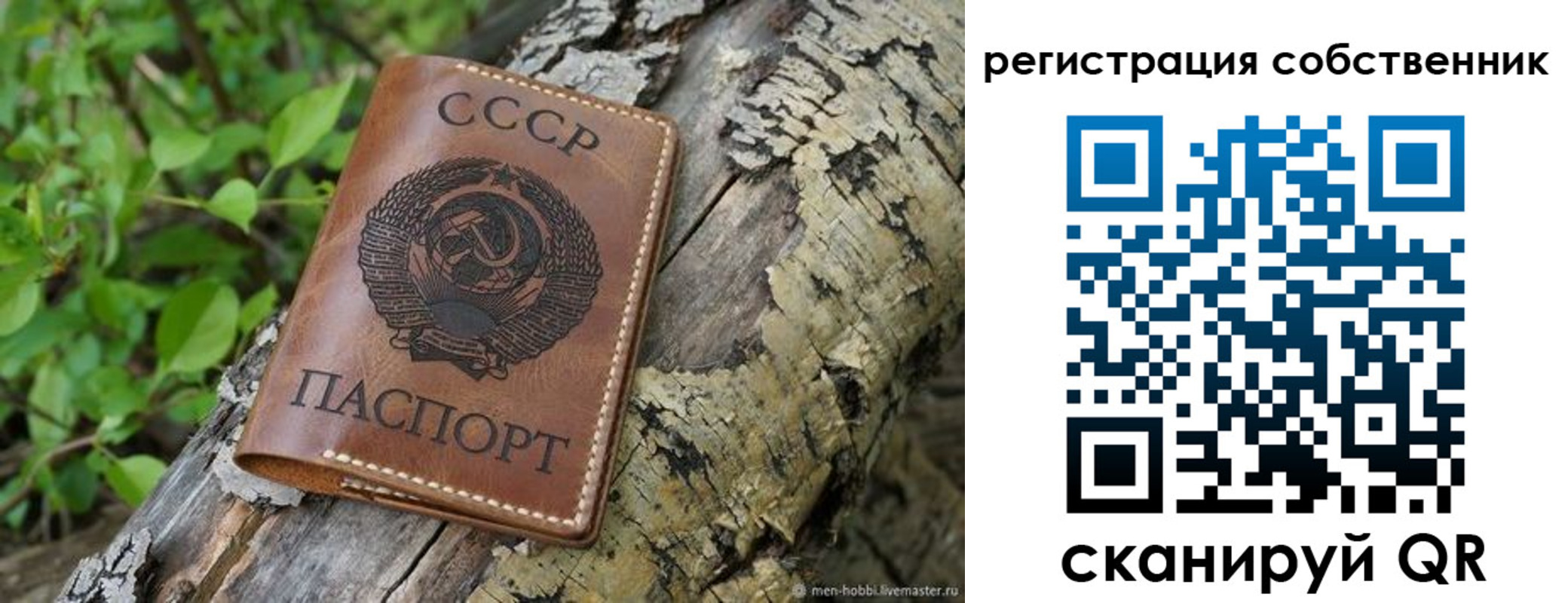 временная регистрация госуслуги в Воронежской области